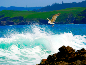 Surf, Sauna & Seasoned Flavours: Rediscover East Cork with Inch Hideaway as Your Launchpad