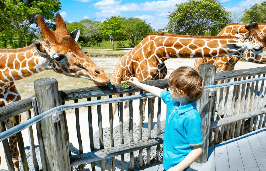 Outdoor Activities Near Inch Hideaway