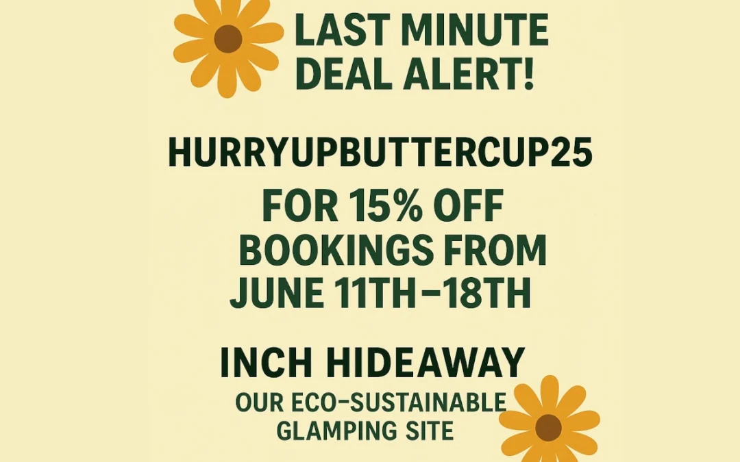 Romantic Glamping Getaway in Cork: 15% Off at Inch Hideaway This Week Only! 💘🌲